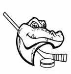 Крокодил решил сыграть в хоккей